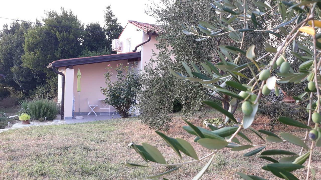 House Barizoni Villa Ankaran Bagian luar foto