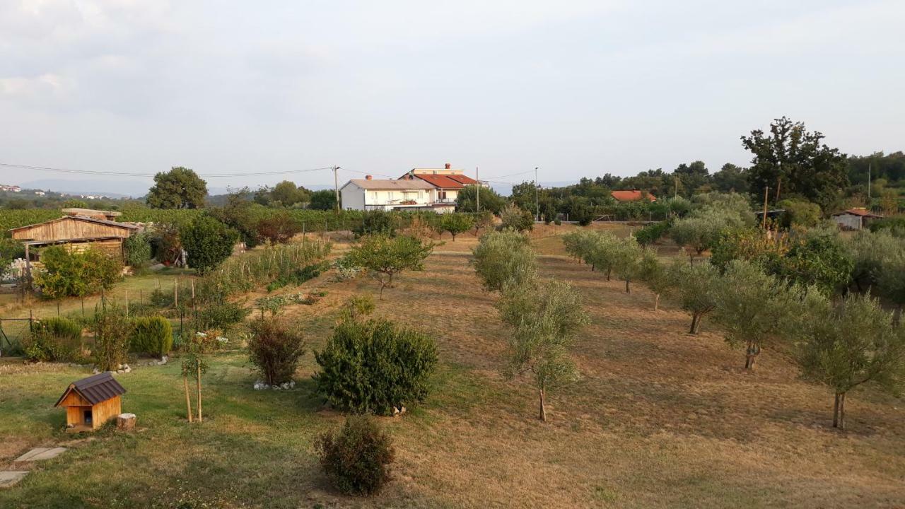 House Barizoni Villa Ankaran Bagian luar foto